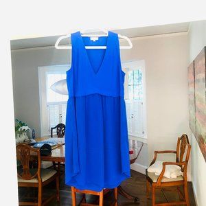 Wilfred (Aritzia) Royal Blue Dress, Size S.